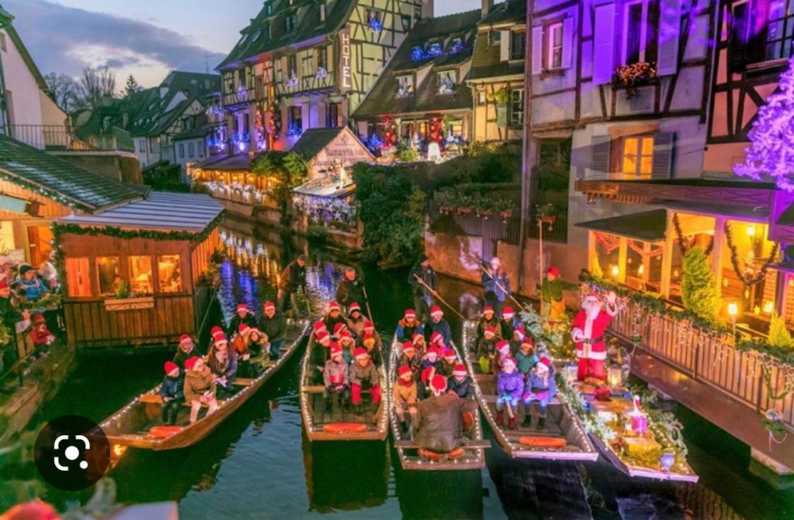 Colmar Cote Rhin Lejlighed Biesheim Eksteriør billede